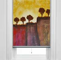 window roller blind example