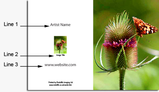 fine art greeting card detail