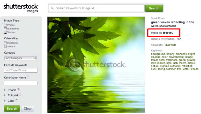 Shutterstock image library